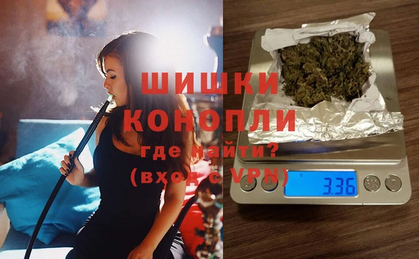 МДПВ Алексин