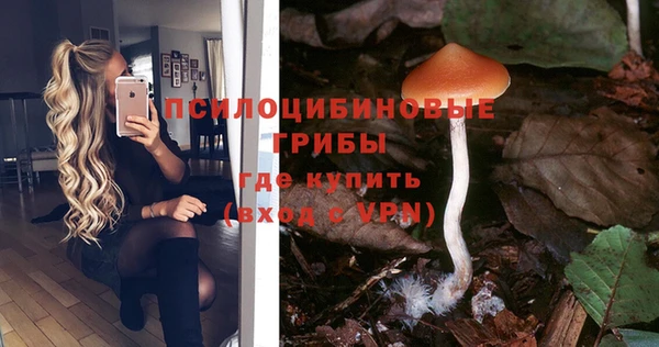 шишки Протвино