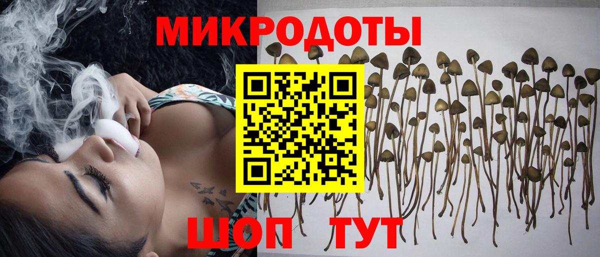 Галлюциногенные грибы мицелий Качканар