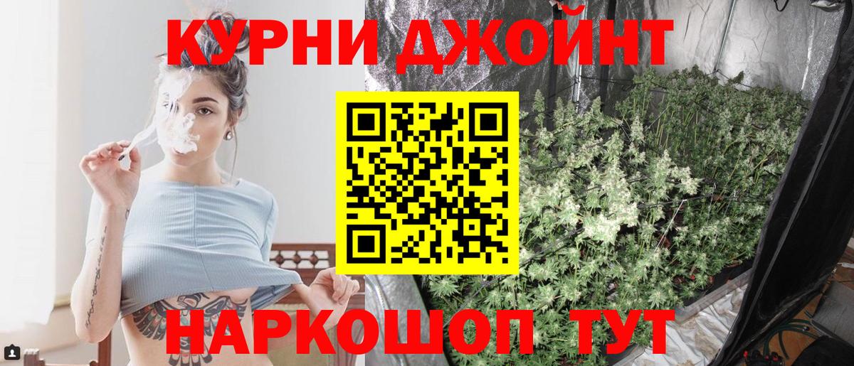 Шишки марихуана сатива  Марихуана сатива  Бошки Шишки план  Качканар  Вход с VPN  Каннабис индика 